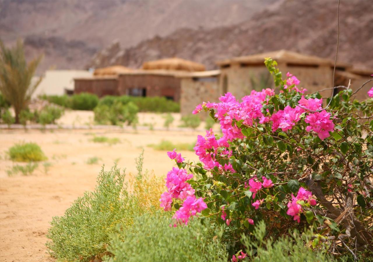 Safari Beach Nuweiba` Екстериор снимка